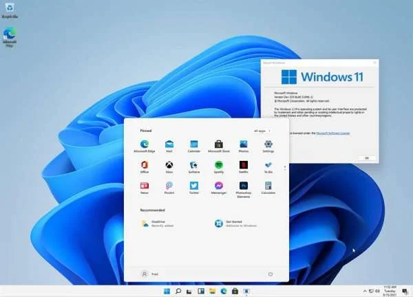 Cách in đen trắng trong Word Windows 11